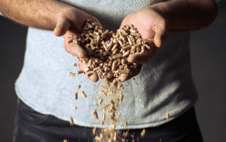 Wood pellets and wood chip - what is Biomass fuel?
