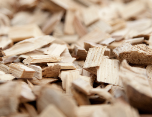 Is Biomass Heating a Viable Option?