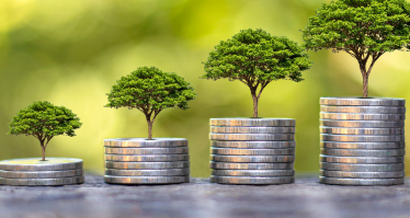Illustration of coins underneath a tree, symbolizing the concept of financial growth or return on green investments